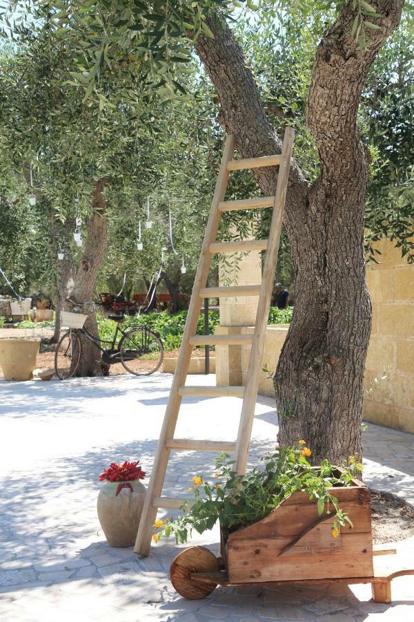 Il Giardino Degli Aromi Bed & Breakfast Cerfignano Exterior photo